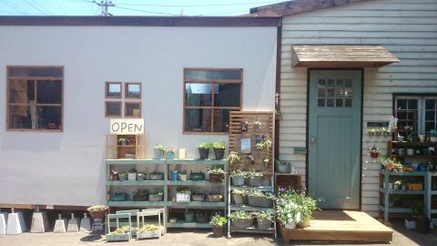 多肉と雑貨のお店okamoku